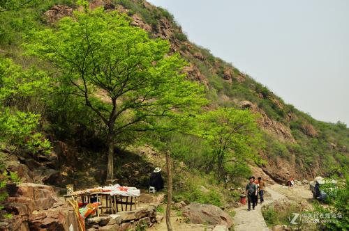 女子把被骗的钱又骗回来了 (女子被骗21万)