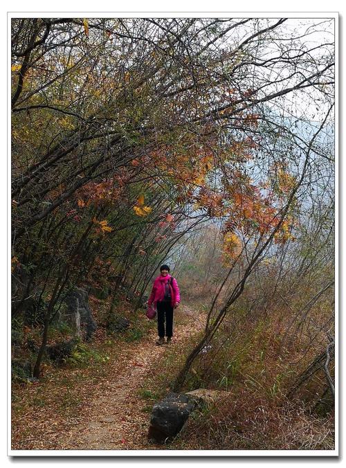 阿里巴巴美国股票