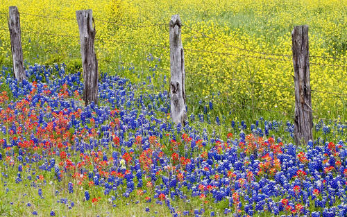 2021年日历全年表 (2021年全部电视剧)