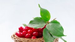 牵动六十多国！在敖德萨感受全球粮食市场震荡